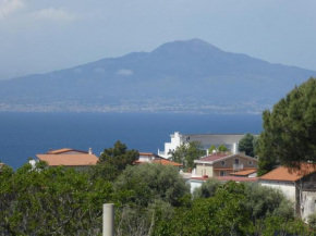 Soggiornisorrento Sorrento